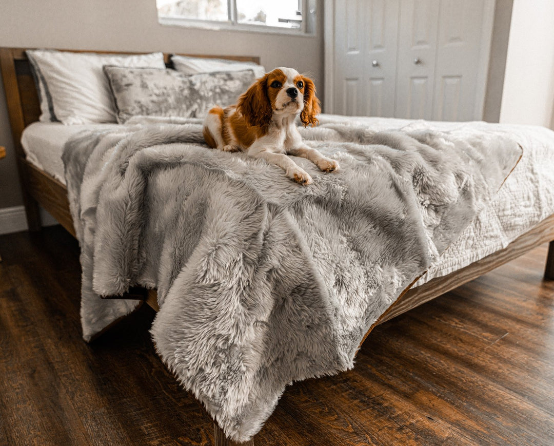 PupProtector™ Short Fur Waterproof Throw Blanket - Grey - - Dog Blanket by Paw.com