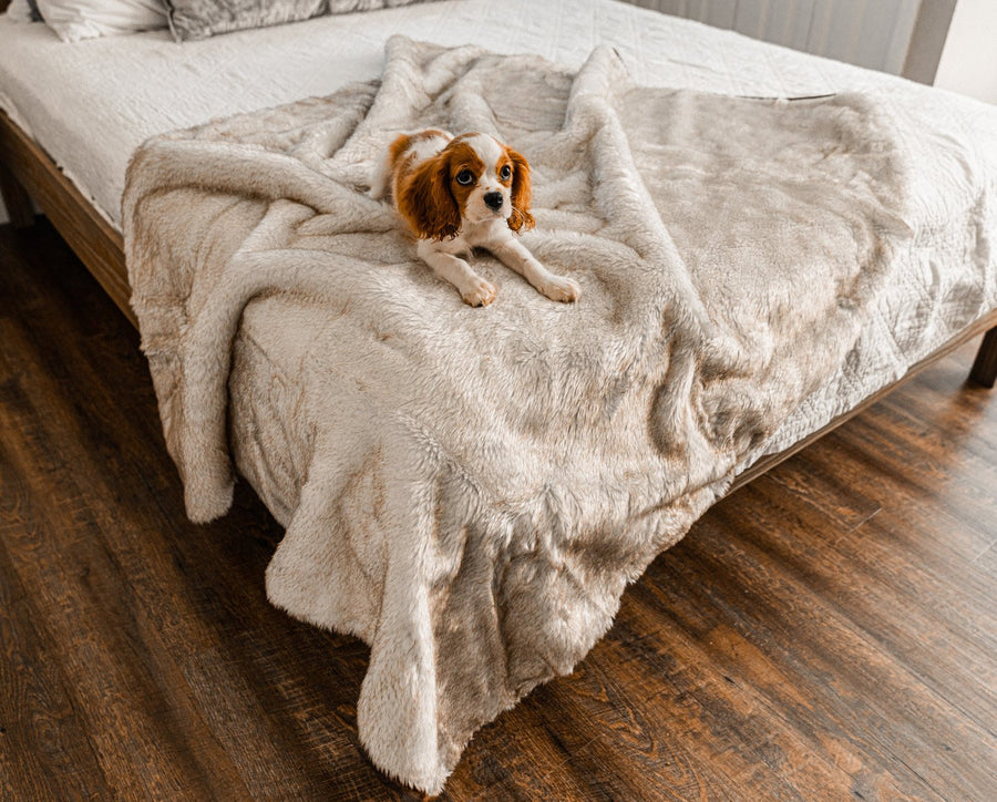 PupProtector™ Short Fur Waterproof Throw Blanket - White with Brown Accents - - Dog Blanket by Paw.com