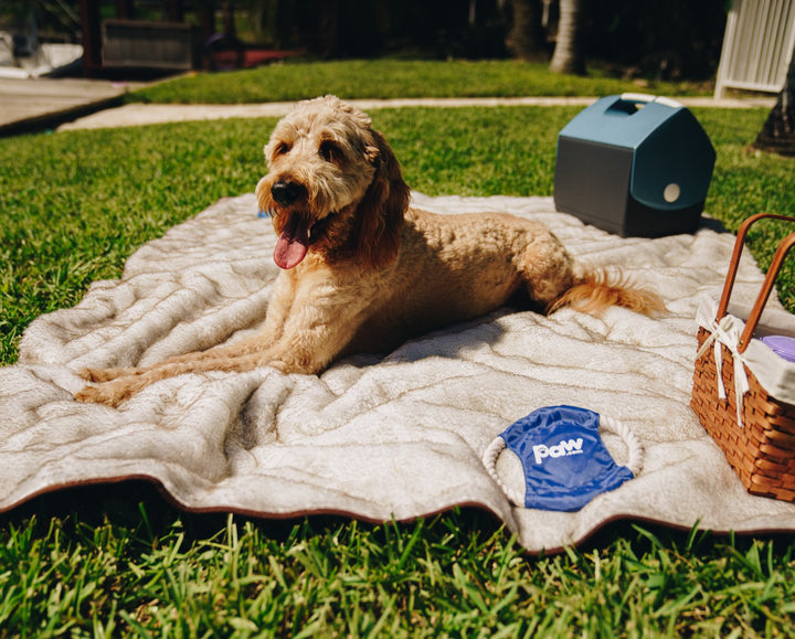 PupProtector™ Short Fur Waterproof Throw Blanket - White with Brown Accents - - Dog Blanket by Paw.com