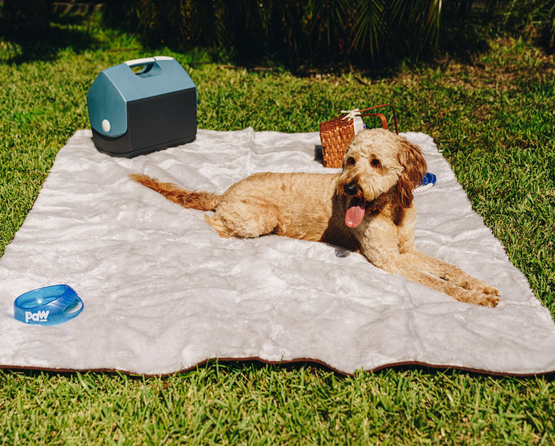 PupProtector™ Short Fur Waterproof Throw Blanket - Grey - - Dog Blanket by Paw.com