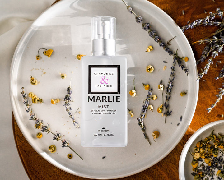 Marlie Mist Pet Odor Eliminator Spray with Essential Oils - Chamomile & Lavender - Pet Fragrances & Deodorizing Sprays by Paw.com
