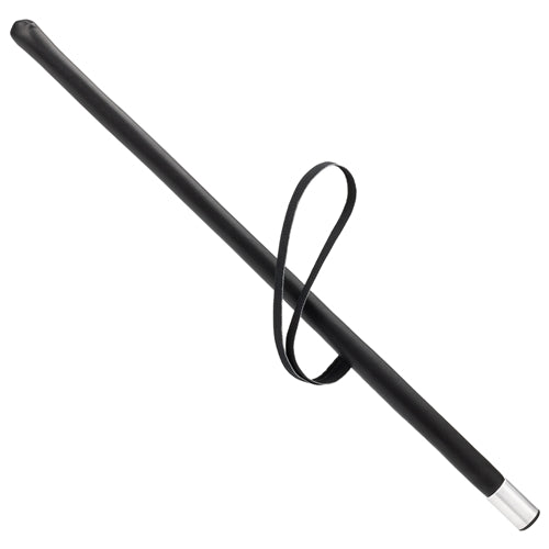 Dean & Tyler Agitation Training Stick