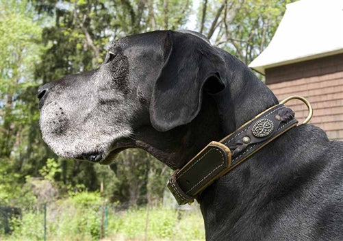 Dean & Tyler Dean's Legend Leather Collar - - Collar by Dean & Tyler