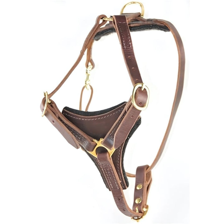 Dean & Tyler Dean's Choice - Leather Harness - Brown - Harness by Dean & Tyler