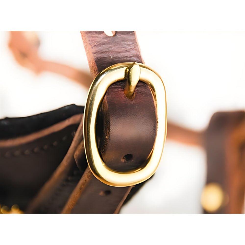 Dean & Tyler Dean's Choice - Leather Harness - - Harness by Dean & Tyler