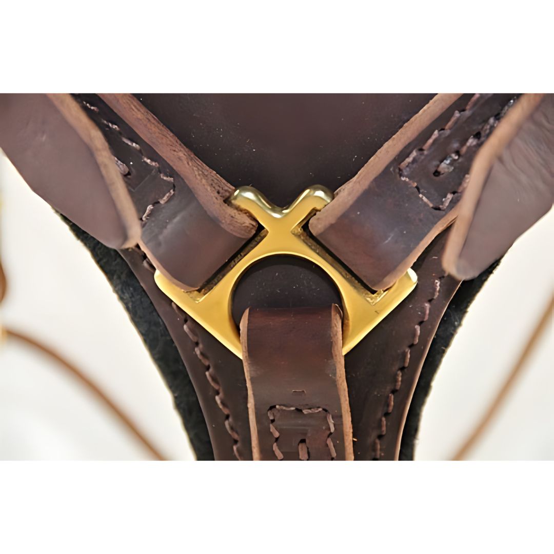 Dean & Tyler Dean's Choice - Leather Harness - - Harness by Dean & Tyler