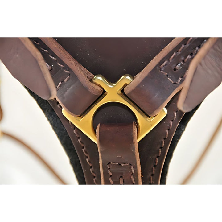 Dean & Tyler Dean's Choice - Leather Harness - - Harness by Dean & Tyler