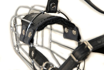 Dean & Tyler DT Basket Muzzle - - Muzzle by Dean & Tyler