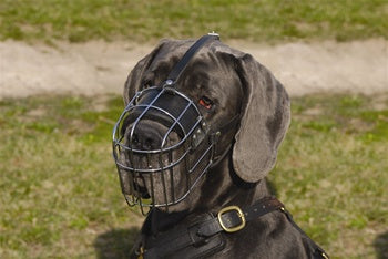 Dean & Tyler DT Basket Muzzle - - Muzzle by Dean & Tyler