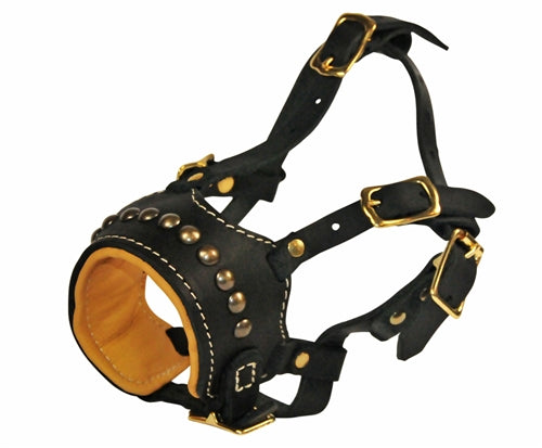 Dean & Tyler Apollo - Occlusion Muzzle - - Muzzle by Dean & Tyler