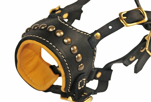 Dean & Tyler Apollo - Occlusion Muzzle - - Muzzle by Dean & Tyler