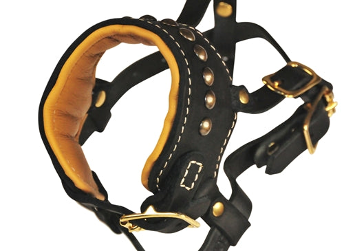 Dean & Tyler Apollo - Occlusion Muzzle - - Muzzle by Dean & Tyler