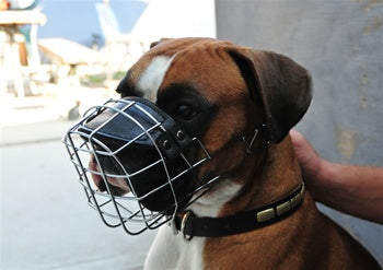 Dean & Tyler Freedom Basket Muzzle - - Muzzle by Dean & Tyler