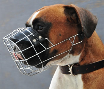 Dean & Tyler Freedom Basket Muzzle - - Muzzle by Dean & Tyler