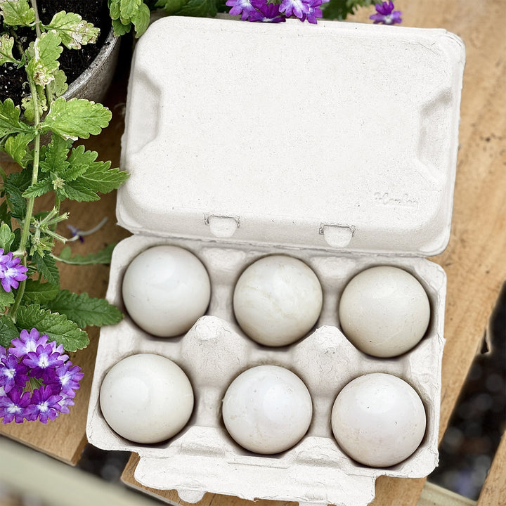 Henlay Duck Egg Cartons - Holds Half Dozen Jumbo Eggs- Blank Flat Top, 2 colors, 20 or 100 - - Egg Cartons by My Pet Chicken