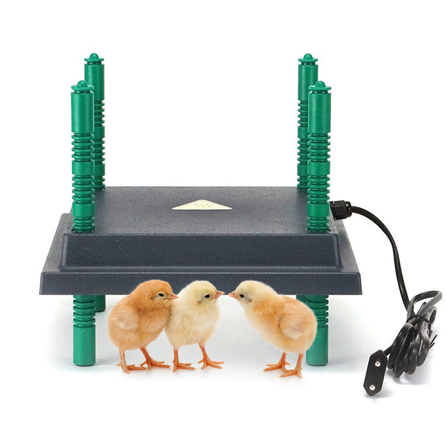 Farmight Chick Brooder Heater Plate, Adjustable Height, 3 Size Options - 10x10 - CHICKEN SUPPLIES by My Pet Chicken