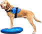 FitPAWS Balance Discs