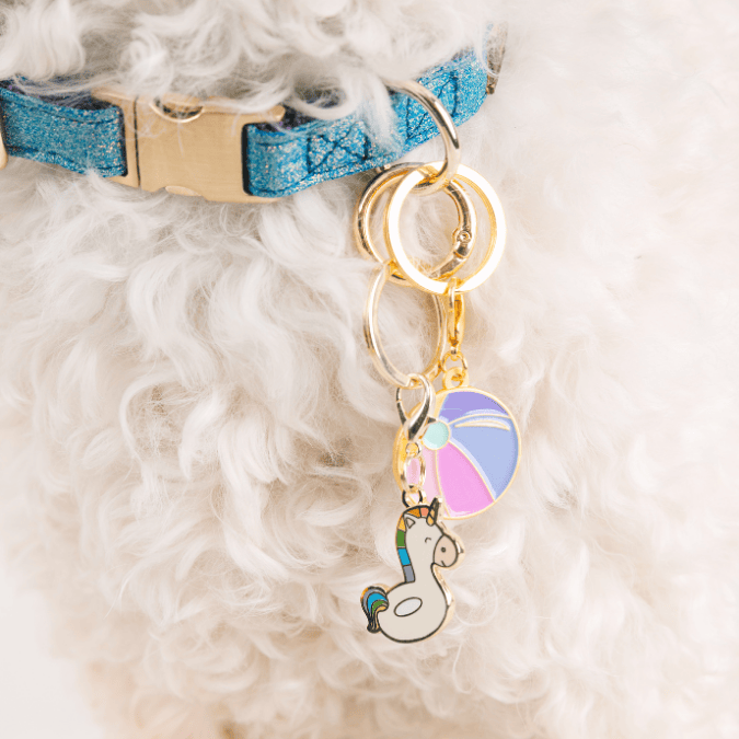 Unicorn Floatie & Beach Ball Pet Charm Set
