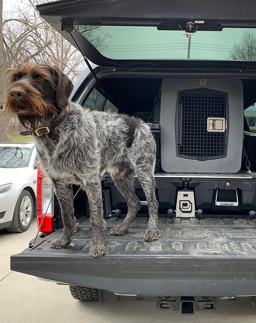 Dakota283 G3 X-Large Framed Kennel