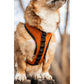 K9 Sport Sack® Harness