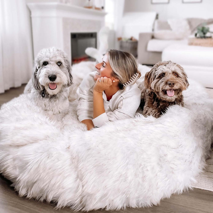 PupCloud™ Human-Size Faux Fur Memory Foam Dog Bed - White with Brown Accents - - by Paw.com