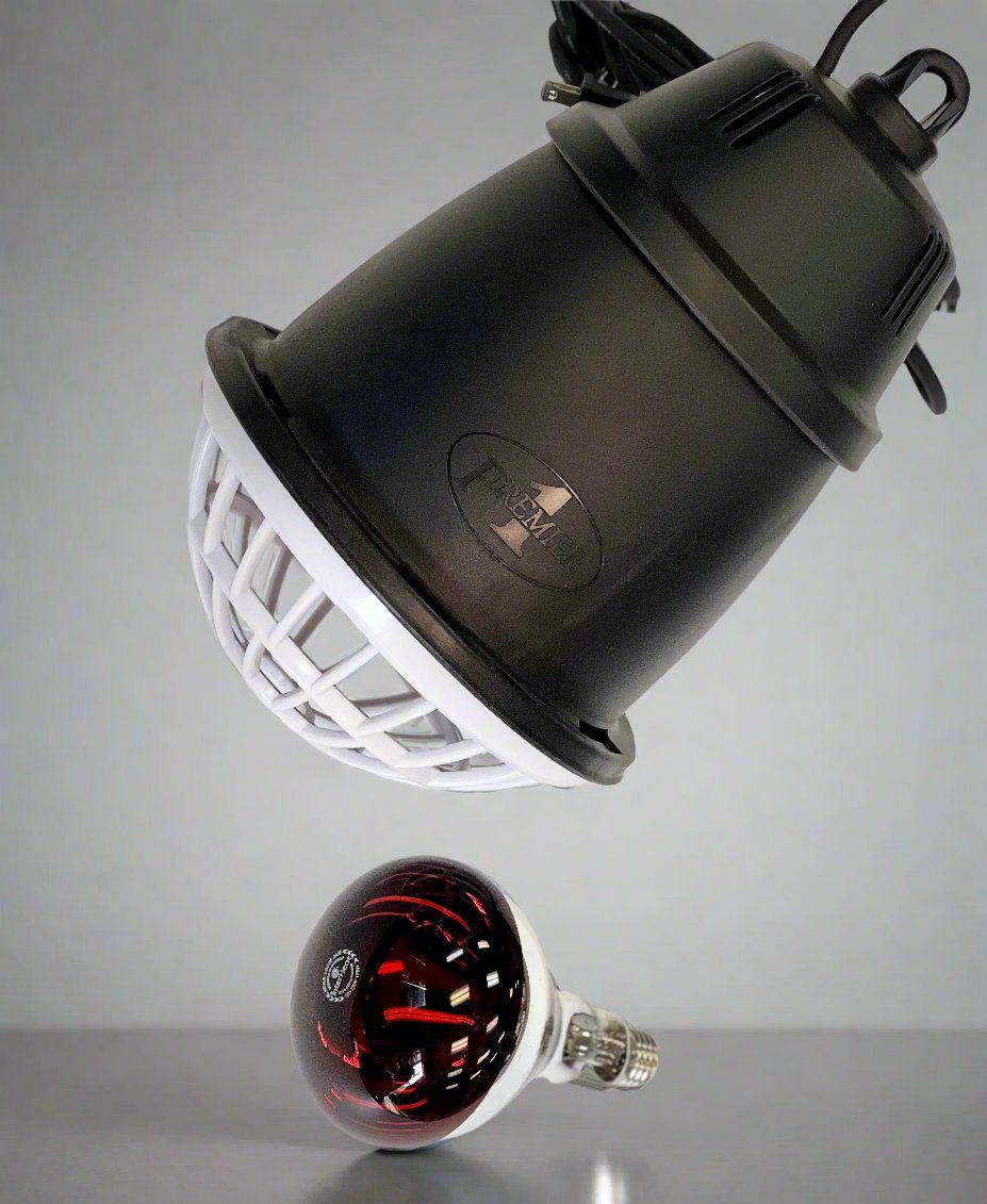 Prima Heat Lamp w/ Infrared Bulb - - Accessory by EZwhelp