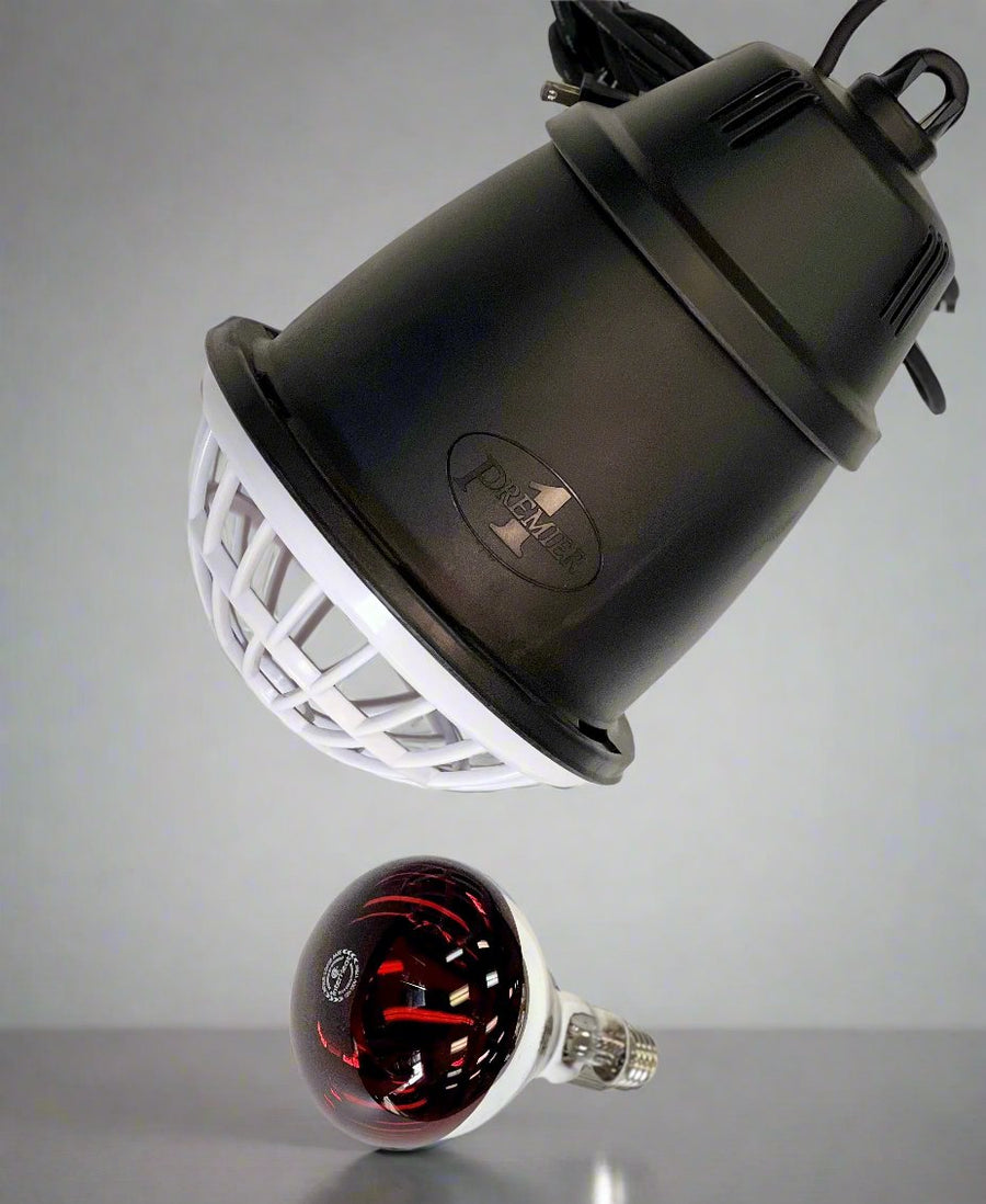 Prima Heat Lamp w/ Infrared Bulb - - Accessory by EZwhelp