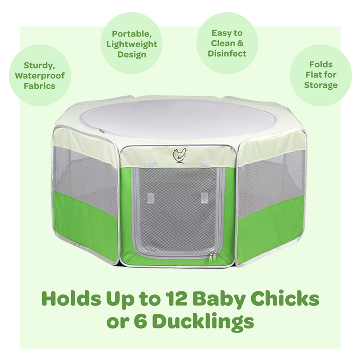 My Pet Chicken Hen Pen Pop-Up Brooder - - Baby Chick Supplies by My Pet Chicken