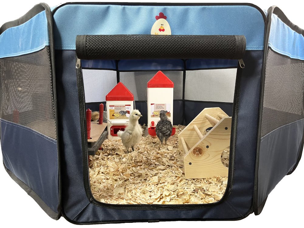 My Pet Chicken Hen Pen Pop-Up Brooder - - Baby Chick Supplies by My Pet Chicken