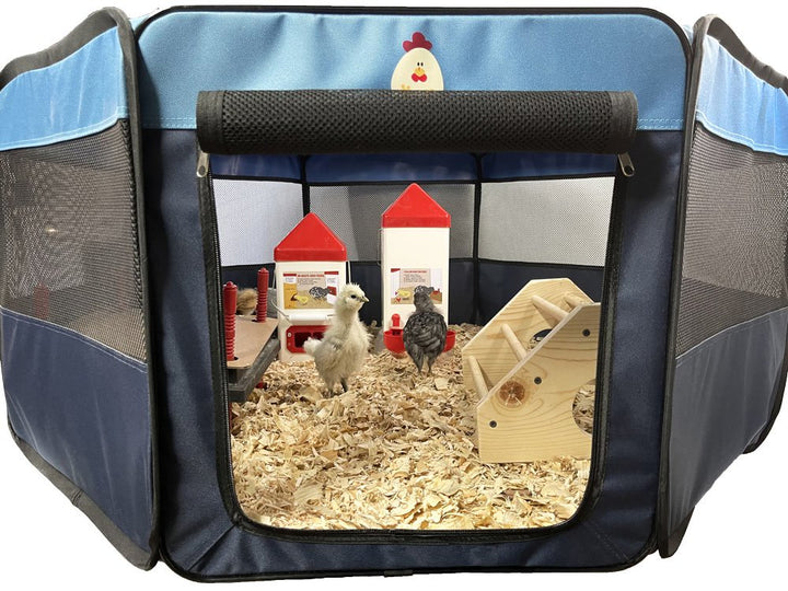 My Pet Chicken Hen Pen Pop-Up Brooder - - Baby Chick Supplies by My Pet Chicken