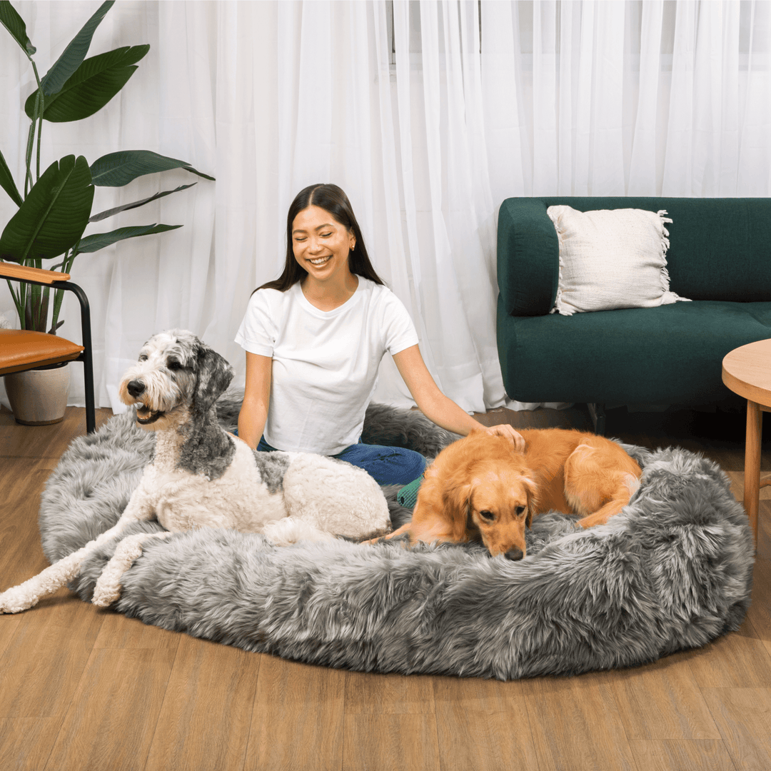 PupCloud™ Human-Size Faux Fur Memory Foam Dog Bed - Charcoal Grey - - by Paw.com
