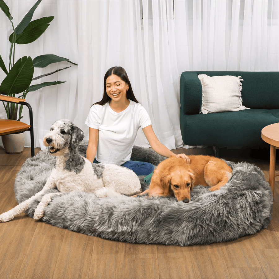 PupCloud™ Human-Size Faux Fur Memory Foam Dog Bed - Charcoal Grey - - by Paw.com