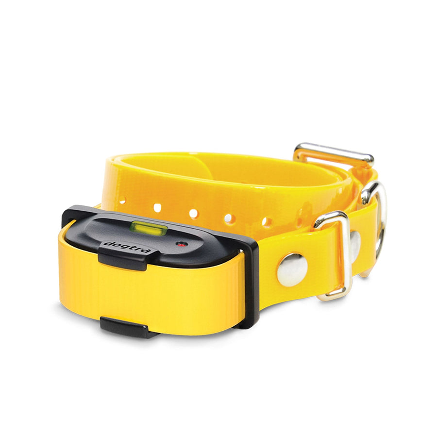 Dogtra iQ MINI Additional Receiver - - by Dogtra