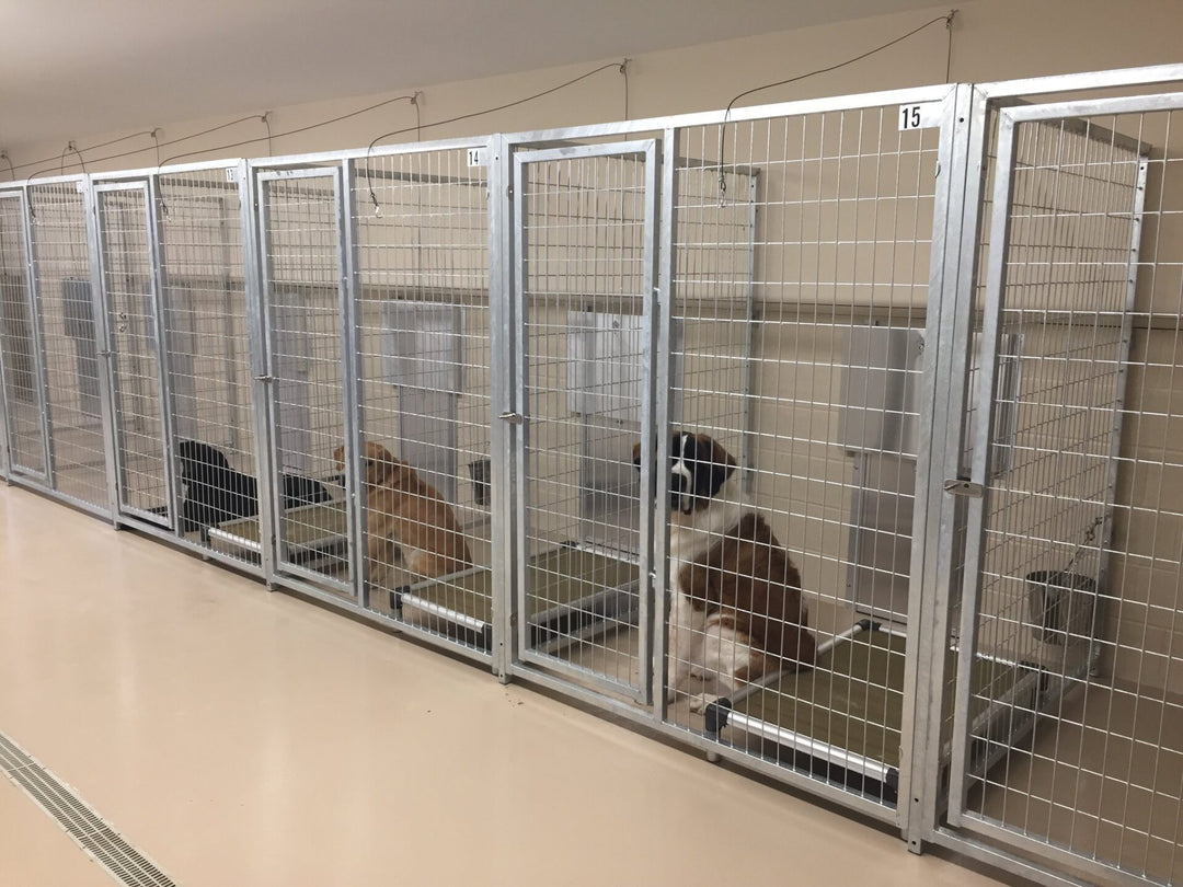 TK Products Complete 5’W x 4’L x 6’H Kennel Run w/ Stainless Steel Hardware - - Dog Kennels & Runs by TK Products