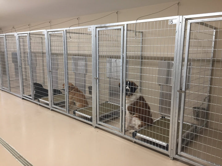 TK Products Complete 5’W x 4’L x 6’H Kennel Run w/ Stainless Steel Hardware - - Dog Kennels & Runs by TK Products