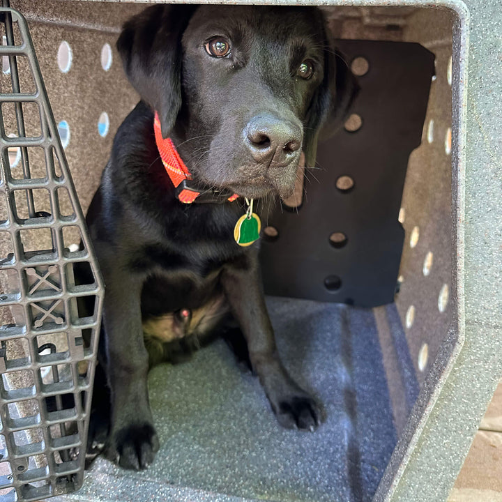 RuffLand Kennel Divider - - Crate Accessories by Ruff Land Performance Kennels