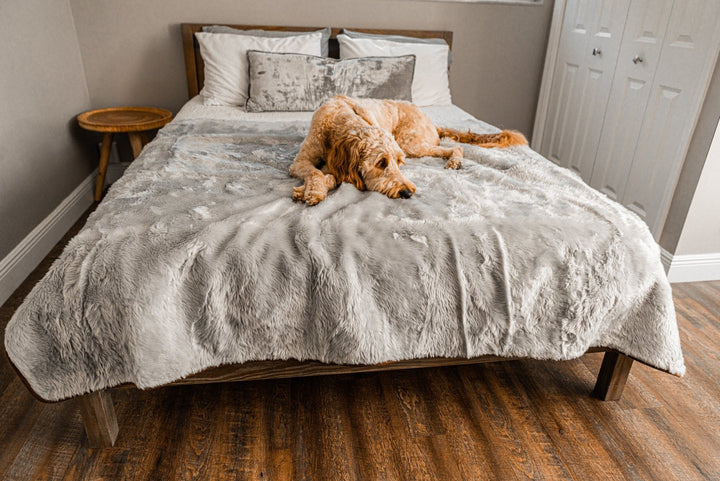 PupProtector™ Short Fur Waterproof Throw Blanket - Grey - Large (80"L X 62"W) - Dog Blanket by Paw.com