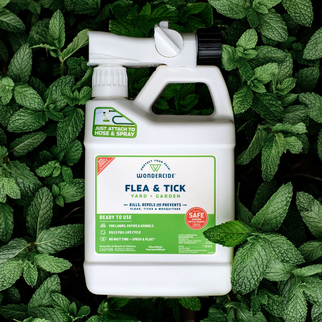 Ready-to-Use Flea & Tick Spray for Yard + Garden - - sale by Wondercide