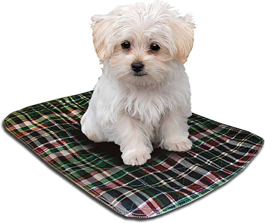 Lenny Pads Washable Potty Pads - Green Plaid - by Lenny Pads