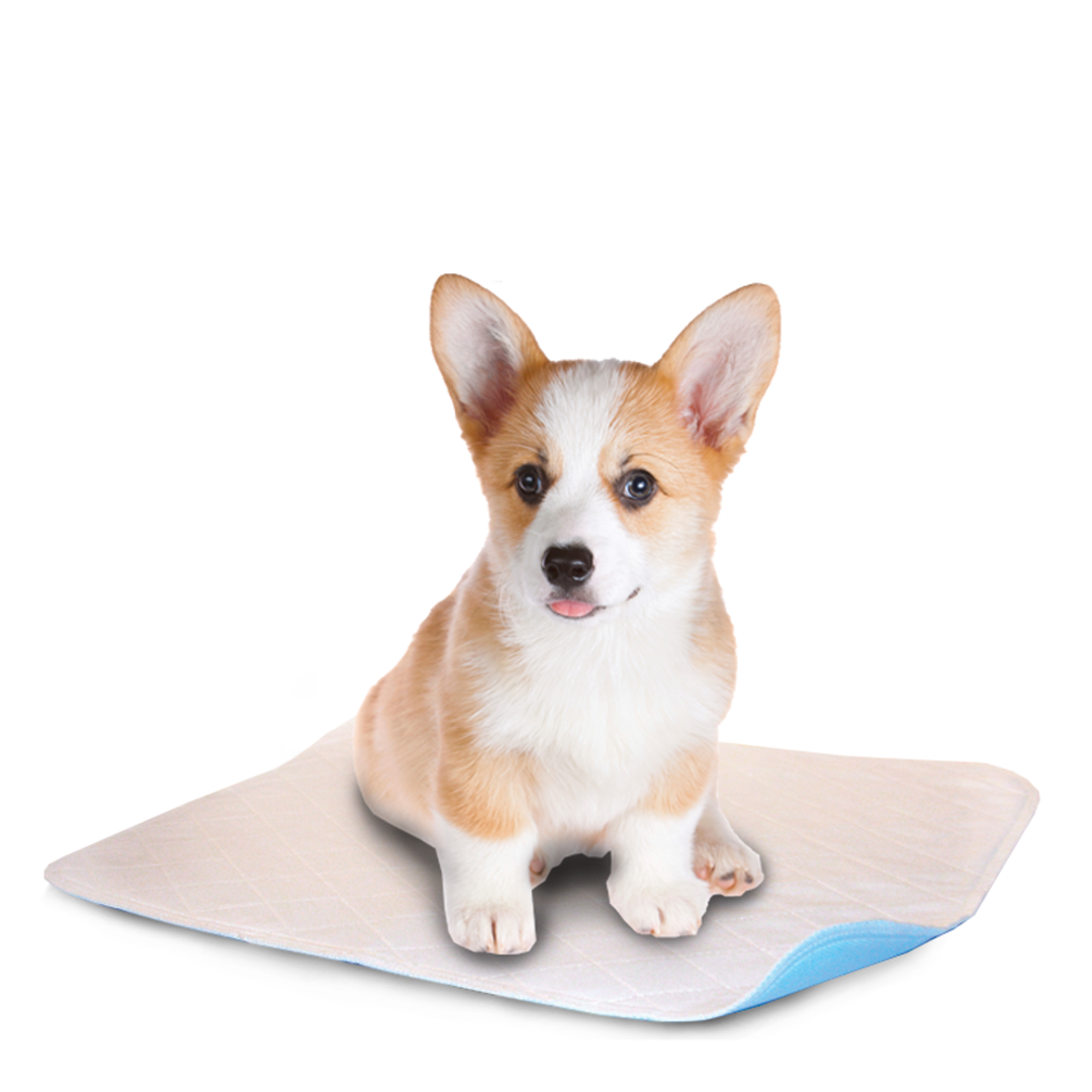 Lenny Pads Washable Potty Pads - White - by Lenny Pads