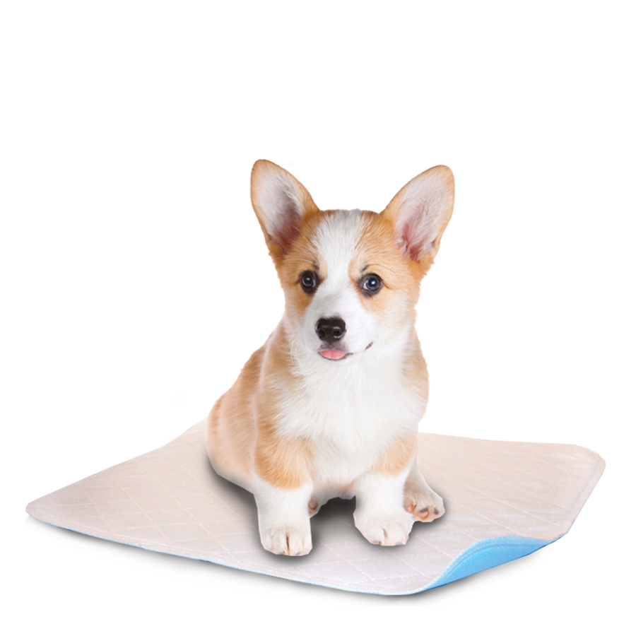 Lenny Pads Washable Potty Pads - White - by Lenny Pads