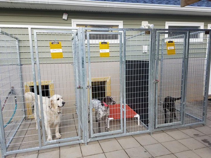 TK Products Complete 4’W x 5’L x 6’H Kennel Run w/ Stainless Steel Hardware - - Dog Kennels & Runs by TK Products