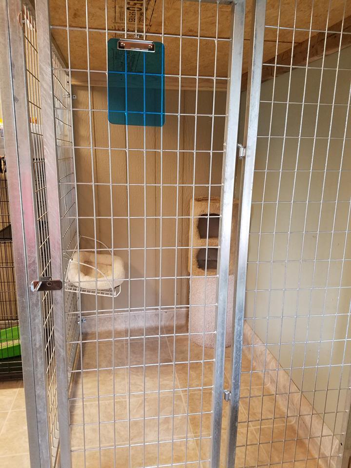 TK Products Door Panel and Stainless Steel Handle - - Dog Kennels & Runs Accessories by TK Products