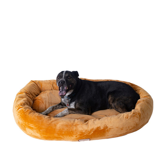 Armarkat Bolstered Large Dog Bed and Mat - Brown - - Dog bed by Armarkat
