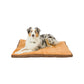 Armarkat Dog Bed/Mat with Poly Fill Cushion - Mocha/Earth Brown - Large - Dog bed by Armarkat