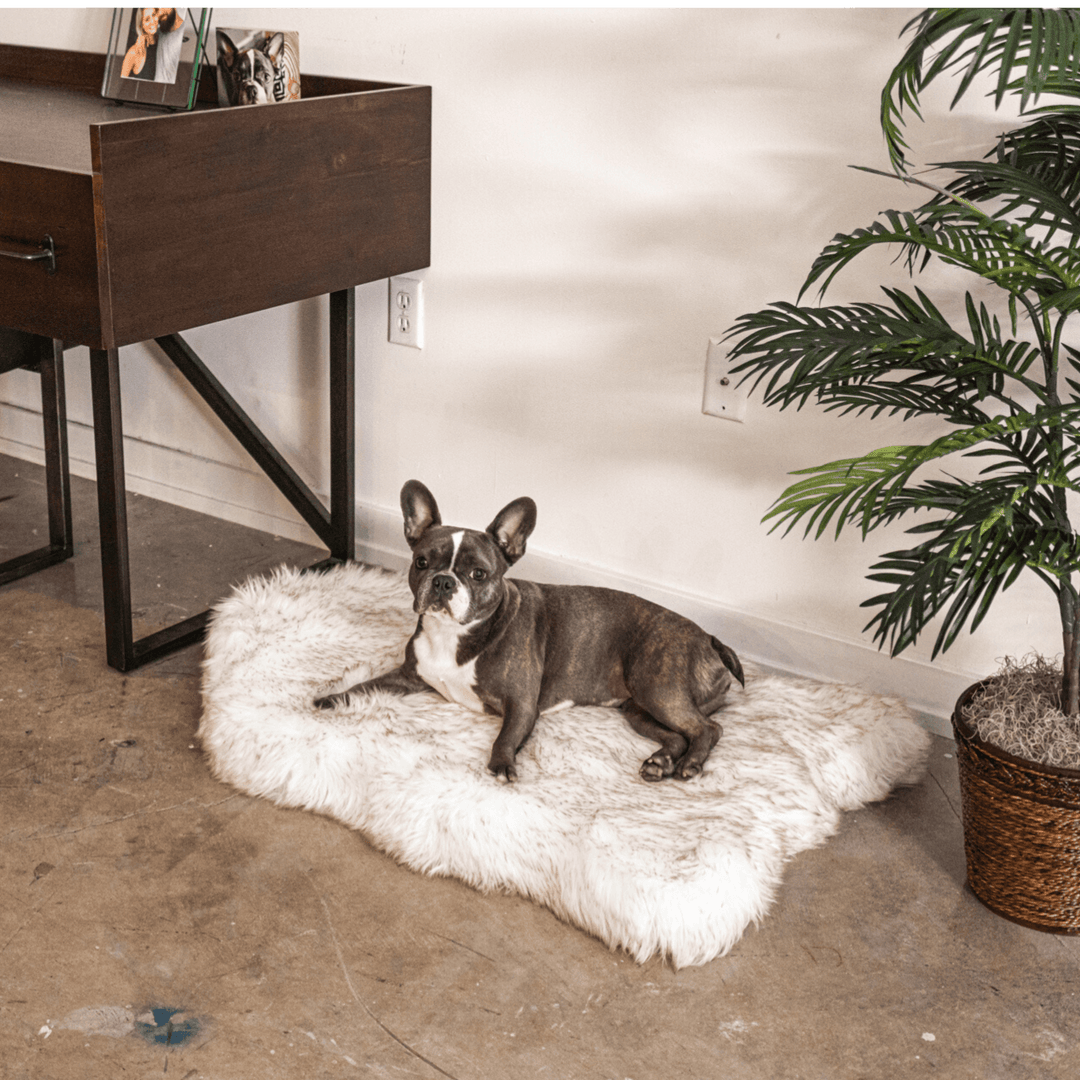 PupRug by Paw.com® Faux Fur Orthopedic Dog Bed - Curve White with Brown Accents - - Dog Beds by Paw.com