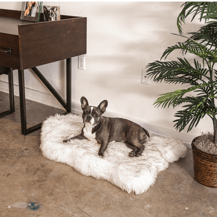 PupRug by Paw.com® Faux Fur Orthopedic Dog Bed - Curve White with Brown Accents - - Dog Beds by Paw.com