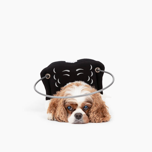 Muffin's Halo Blind Dog Guide - - Blind Dog Guide by Muffins Halo