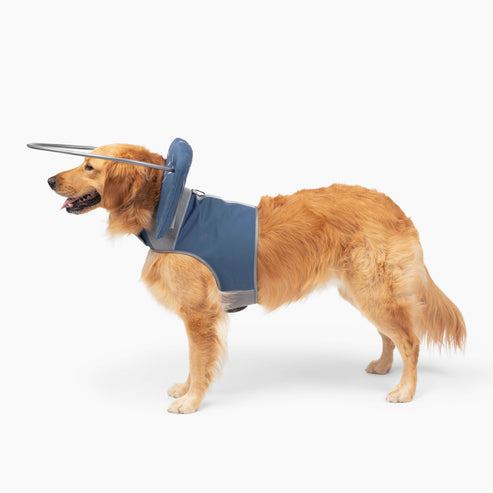 Muffin's Halo Blind Dog Guide - Blue - Blind Dog Guide by Muffins Halo