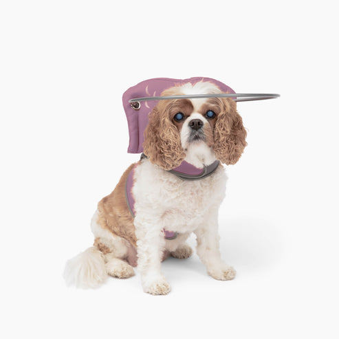 Muffin's Halo Blind Dog Guide - Pink - Blind Dog Guide by Muffins Halo